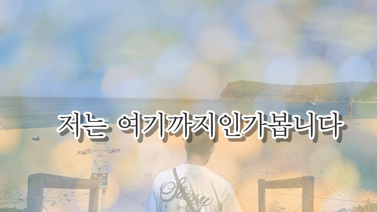 저의 슈리뷰는 여기까지인가봐요. It seems like my shoe review series ends here.