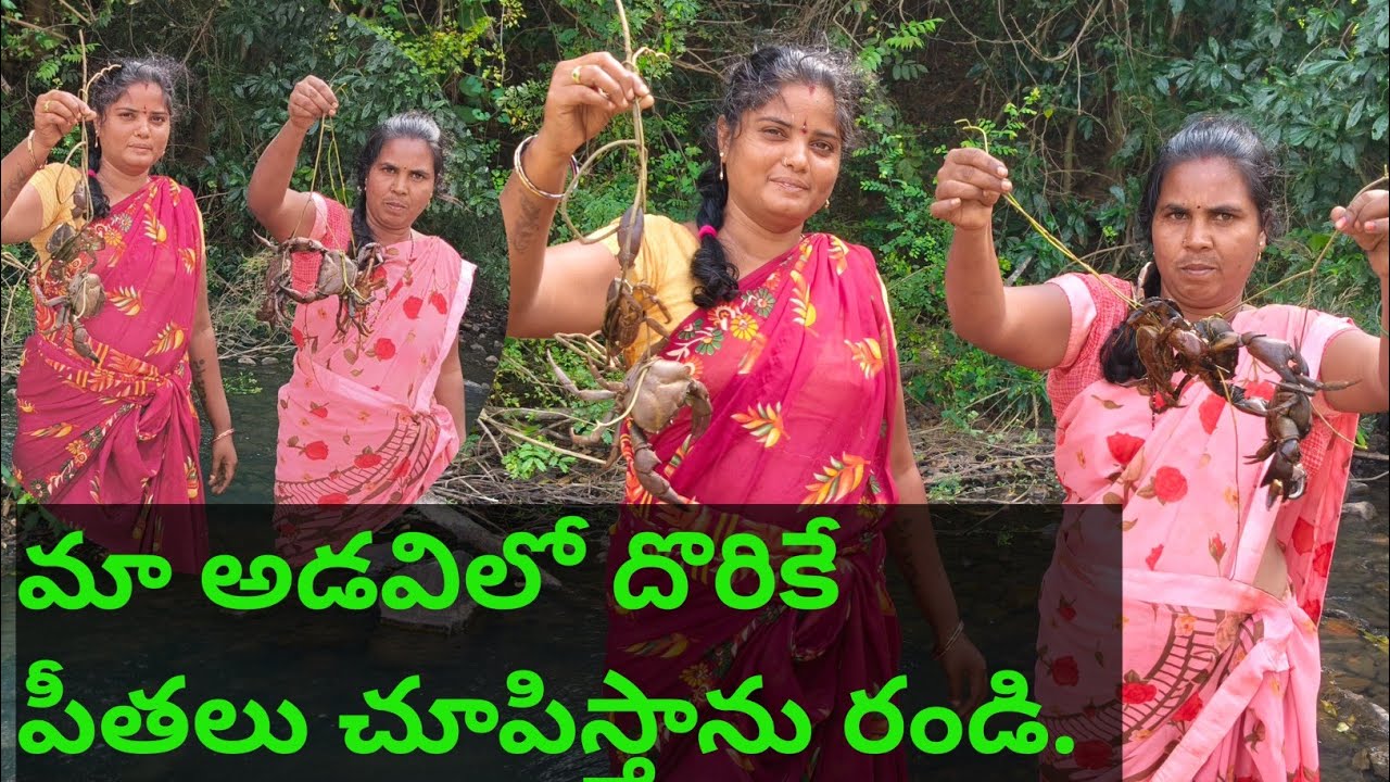 మా అడవిలో దొరికే పీతలు చూపిస్తాను రండి. Subbu Allagadda 