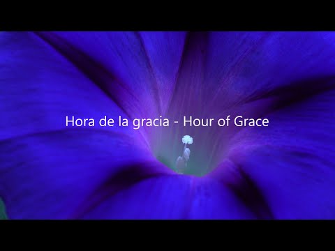 Hora de la gracia - Hour of Grace - 29 junio 2022