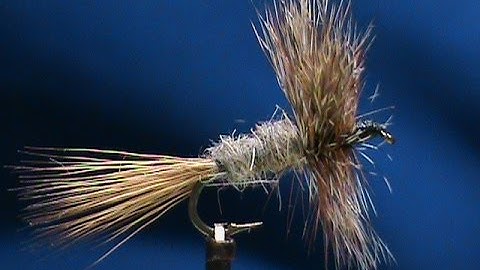 Beginner Fly Tying a Grizzly Wolf with Jim Misiura