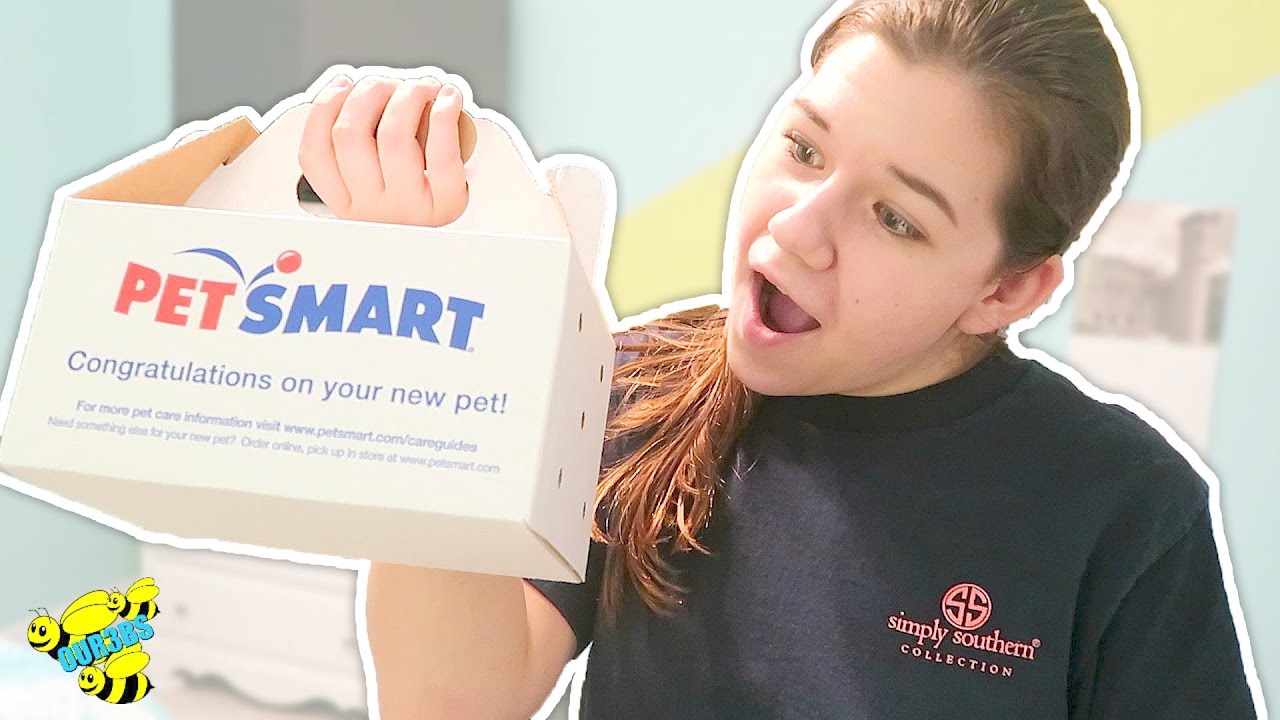 У неё появился новый питомец!