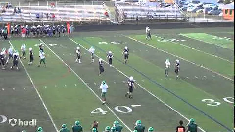 Brian Godwin 2013 Football Highlight reel
