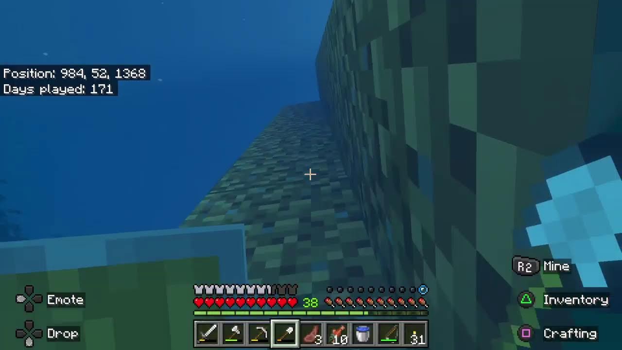 Minecraft survival bedrock