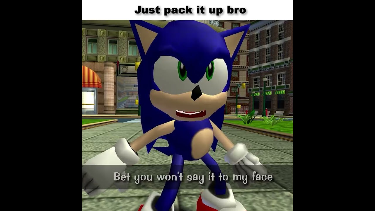 Stupid Sonic Memes