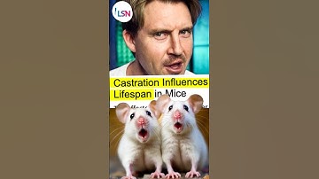 EXTREME Longevity Experiment #longevity #lifespan #aging