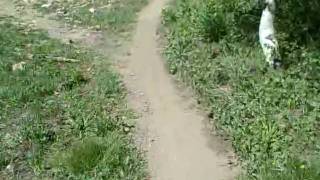 VID00068.AVI