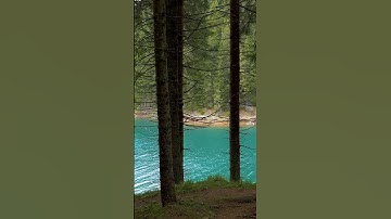 سورة المؤمنون (84-90) تلاوة صفوان السويكت