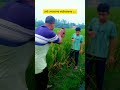 সেই লেভেলের ফটোগ্রাফার | @SagorHasi