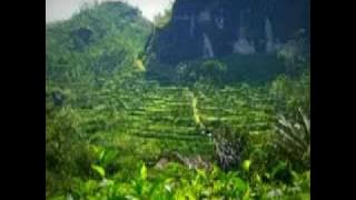 Ari Lasso - Jalanku Tak Panjang