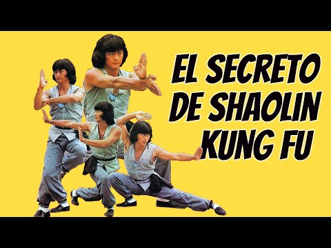 Wu Tang Collection - El Secreto de Shaolin Kung Fu (Secret Shaolin Kung Fu)