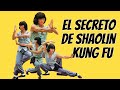 Wu Tang Collection - El Secreto de Shaolin Kung Fu (Secret of Shaolin Kung Fu)