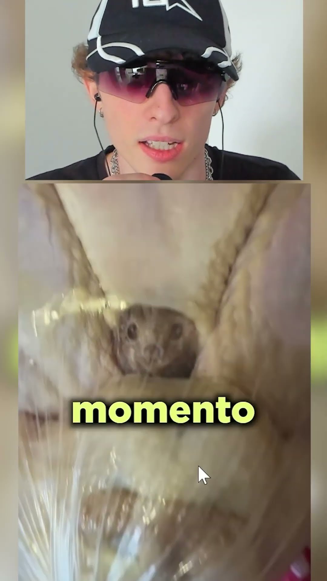 Que hay dentro de mi PAVO?