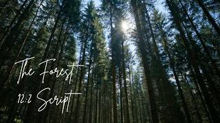 The Forest 12:2 Script