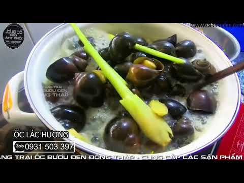 Video Tình quê từ ốc gác bếp | Ốc Lác | Ốc Lác Hương | Ốc... - youtube