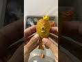 Wild Safari Jungle Animal Toys ASMR | Lion Giraffe Elepant and Horse