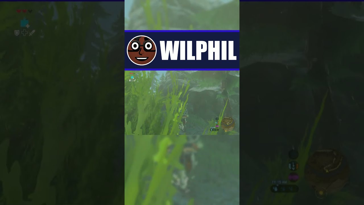 When I Hit The Guy With Glasses |👾The Legend of Zelda: Breath of The Wild #shorts