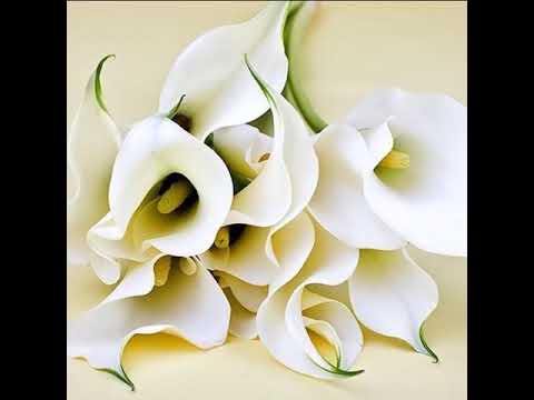 50 запретных желаний .АНДЕРСОН .1 ЭРОТИКА 50 запретных желаний .АНДЕРСОН .1 ЭРОТИКА