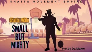 Shatta Wale_Small But Mighty (Official Music Video) Shatta Built Different 🔥🔥🔥