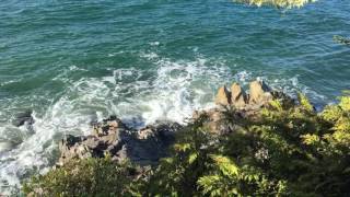 Video Contest 2017 Isabelle R. - Semester abroad at VIU