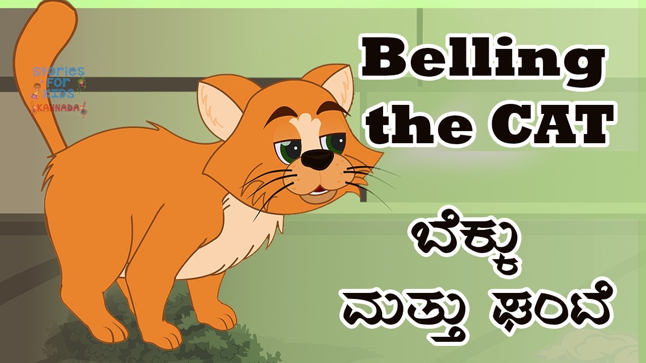 essay on cat in kannada