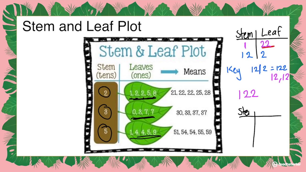 Stem and Leaf Plot - YouTube