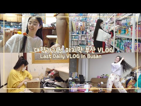 Last Daily VLOG In Busan Before Going to College