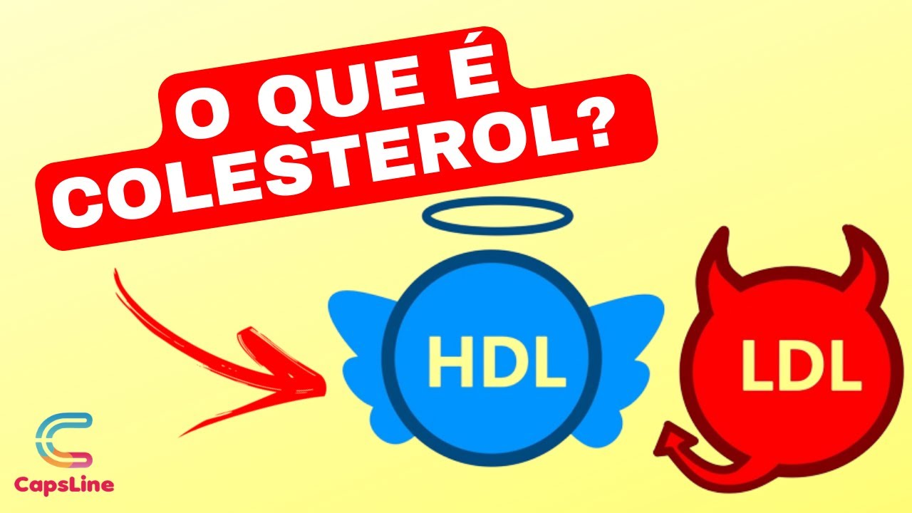 O Que é COLESTEROL HDL e LDL? YouTube O Que é COLESTEROL HDL e LDL? YouTube