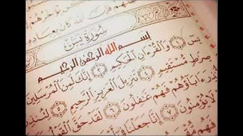 الشيخ سعد الغامدي سورة يس سورة البقرة الرقية الشرعية