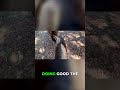 Kids Conquer 'No Stirrup November' on Trail Ride! 🐎