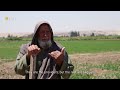 Farmers in Raqqa countryside abstain from cultivating their lands due to low level of the Euphrates