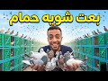 بعت شويه حمام وكلام مهم mp3