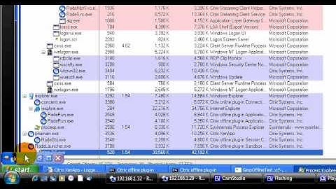 Citrix: Quick Look At Process Explorer Of Gimp Offline App