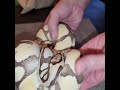 New Cryptic Desert Ghost additions. #ballpython #like #followus #snake