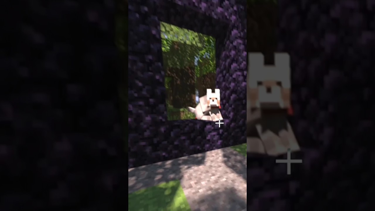 Stop Making Nether Portal Like Noob. 