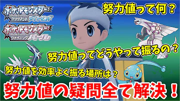 ポケモンどりょくち