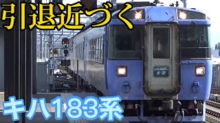 【引退近づく】キハ183系 特急大雪 旭川駅入線