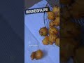 #moongbhajiya