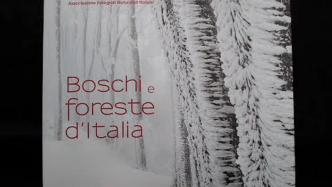 Quanti boschi ci sono in Italia?