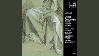 Video thumbnail of "Collegium Vocale Gent - Oster-Oratorium, BWV 249: 1. Sinfonia"