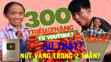 Đạt Nút Vàng Trong 2 Tuần - Bà Tân Vlog Trở Thành Kênh Tăng Sub Nhanh Nhất Việt Nam?
