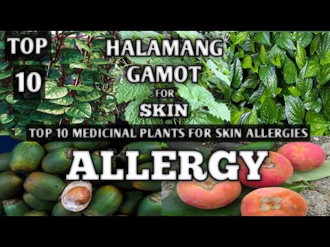 TOP 10 HALAMANG GAMOT SA MGA SKIN ALLERGY || NATURAL AND HOME REMEDIES FOR SKIN ALLERGIES || NATURER