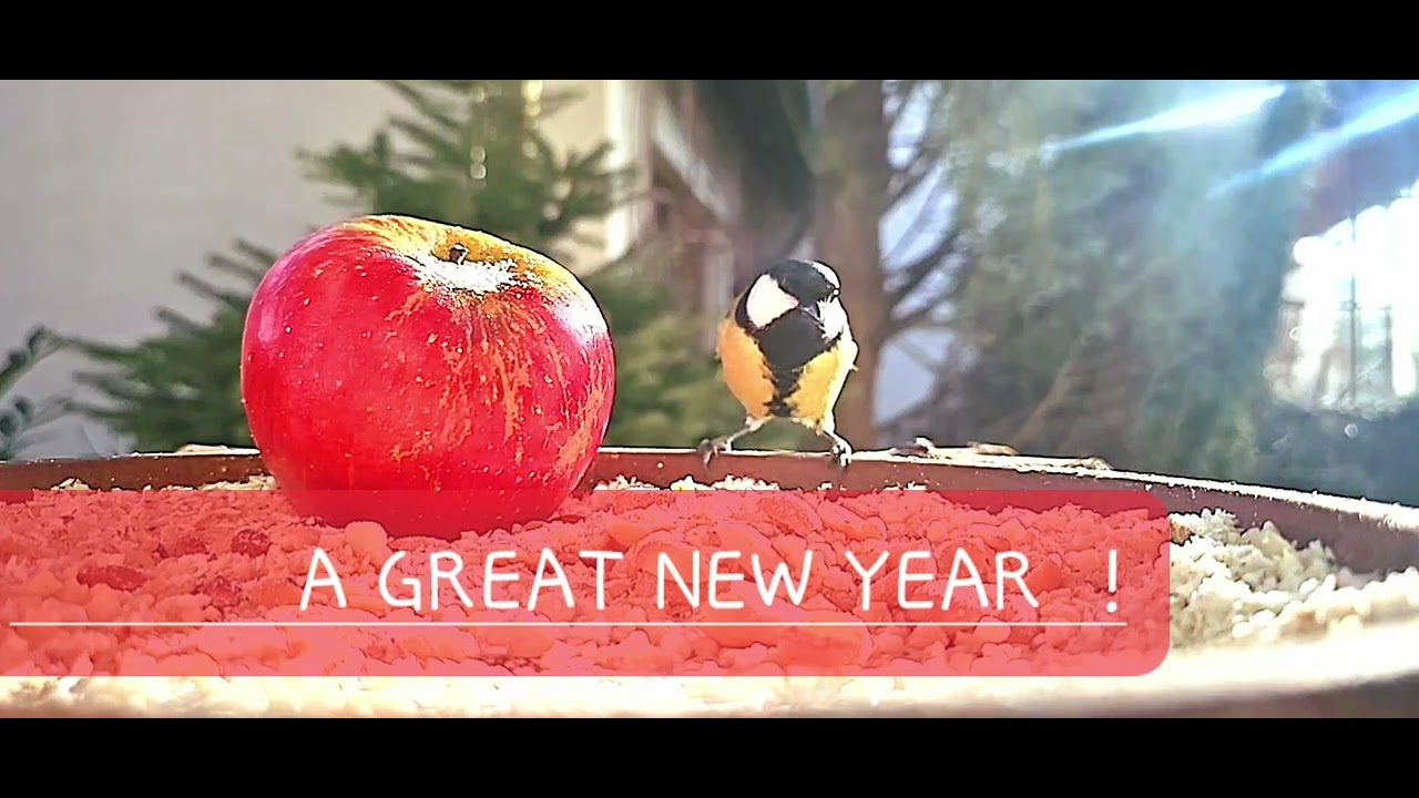 A GREAT NEW YEAR ! - YouTube