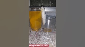 Concept Of Surface Tension #shorts #scienceexperiment #experiment #science