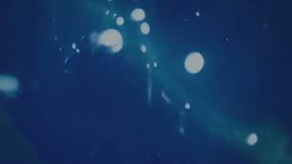 Joy Guidry - I Know You're Always With Me (Official Visualizer)