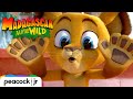 MADAGASCAR A LITTLE WILD | Season 1 Trailer