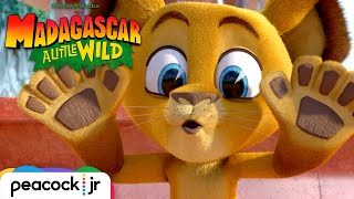 Madagascar A Little Wild Season 1 Trailer