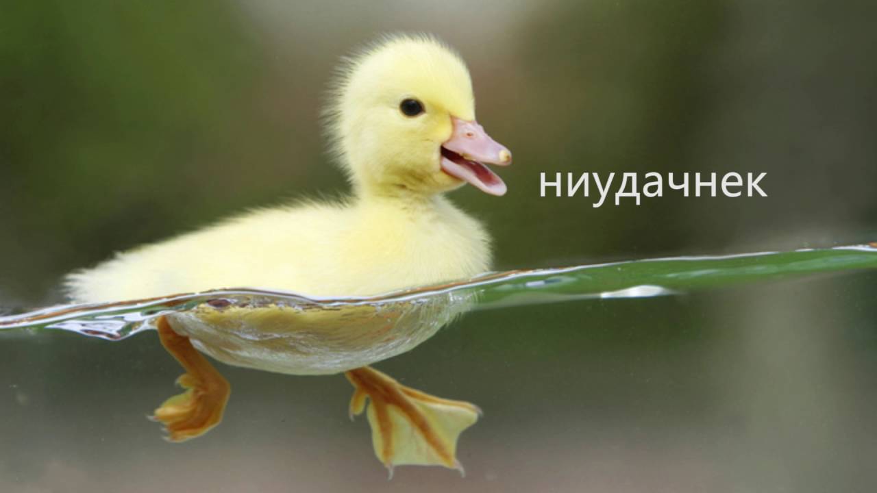 CrossFire: HMX, AK-47 BORN BEAST!