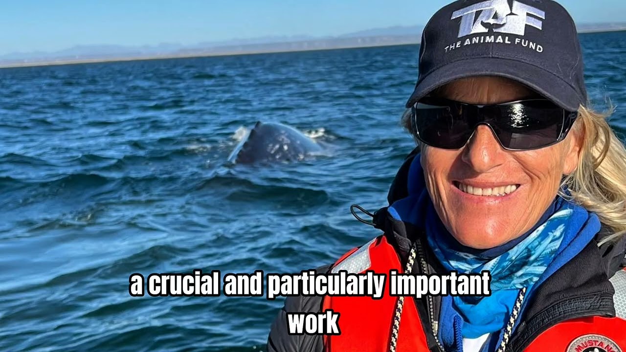 Dr. h. c. Antoine Goetschel - Lawyer for Animals - Video made for TAF - The Animal Fund