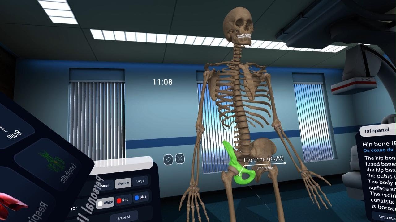 Human Anatomy VR_20230722111257 YouTube