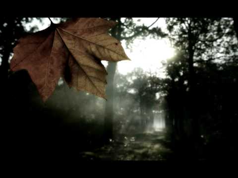 Last Leaf to Fall - Piano composition.